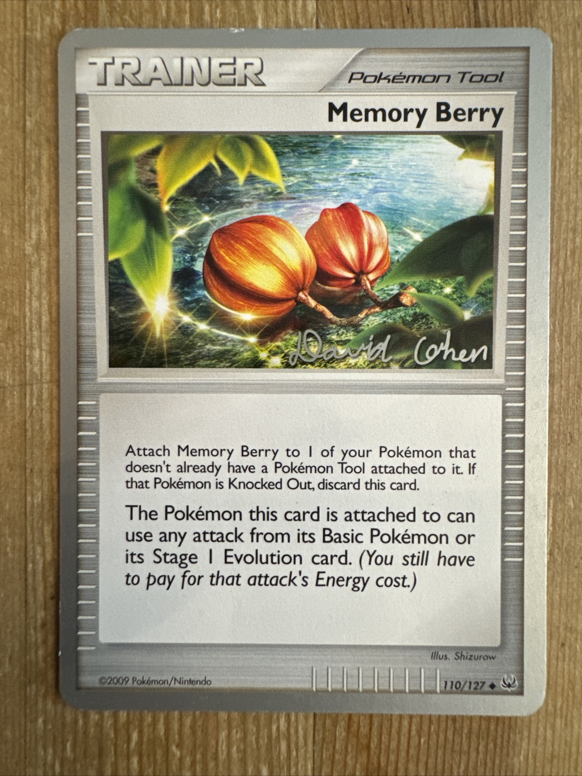 Memory Berry