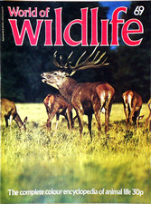 WORLD of WILDLIFE No 69 RED & ROE DEER Lords of Wood & Forest Orbis 1976