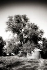 Fine Art Photography, Black and White print, 8x12, Cover