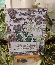 STAMPIN UP CARD KIT -  PUMPKINS BLESSED TO HAVE YOU IN M CARD KIT MAKES 4 #LL-56