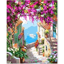 Flower Towns Paint by Numbers Kit for Adults Beginners DIY 16x20 Inch Canvas Set