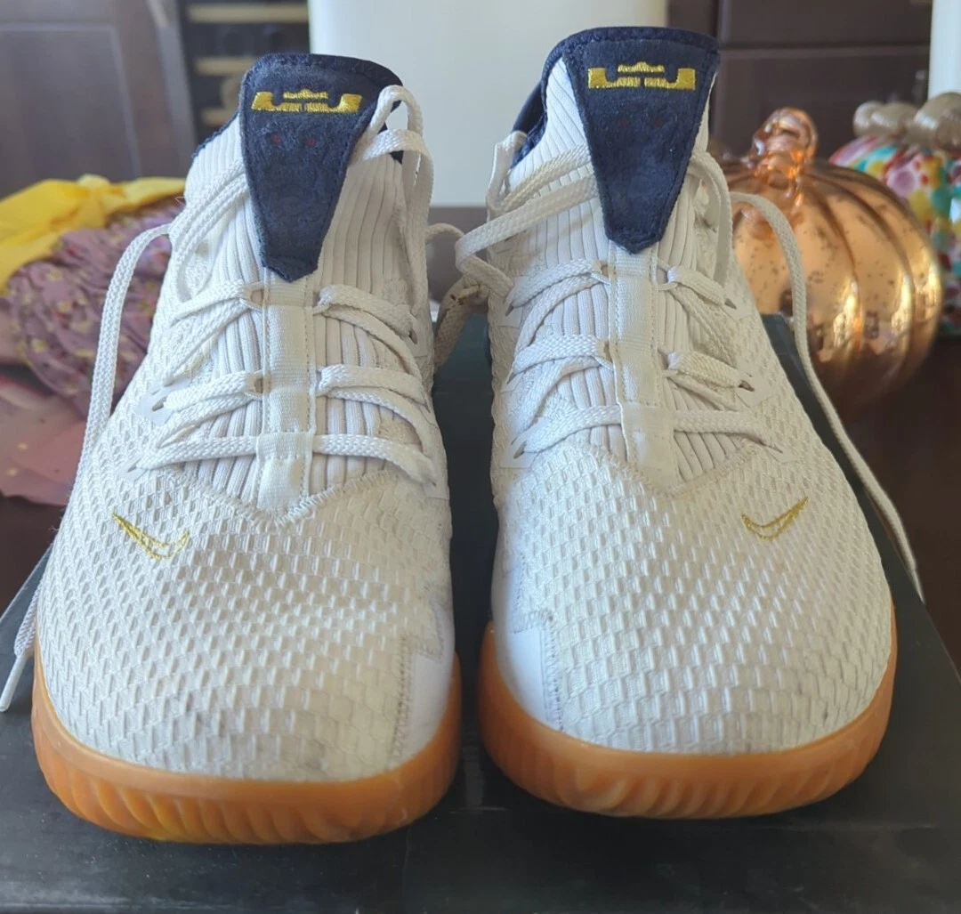 Lebron 16 low size 14 sale