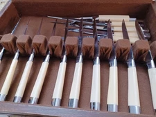 Carvell Hall by Briddell USA MCM Set of 14 Steak Knives & Meat Fork & Case VTG