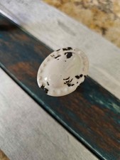 Rustic Handcrafted Pet Leash Holder 3 Hook