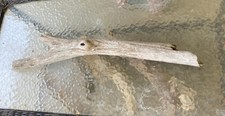 Driftwood, Branch, Reptile, Perch, Aquarium, Habitat, Decor, Snake 26 Inch