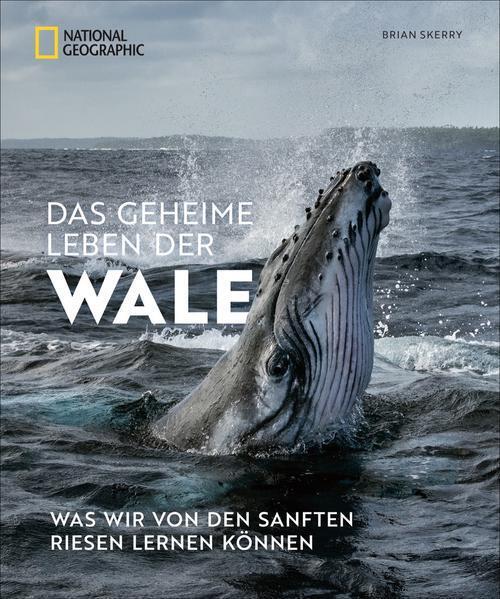 Thumbnail - Das Geheime Leben Der Wale | Brian Skerry | 2022 | Deutsch