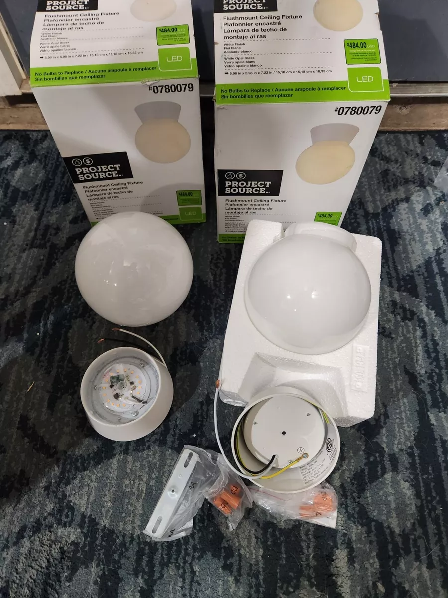 Project source 2024 flushmount ceiling fixture