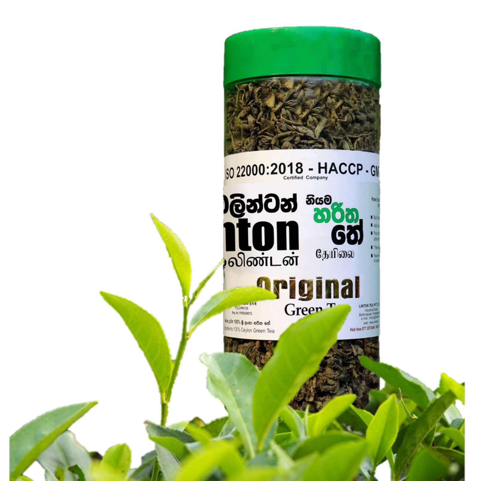 Green Tea Loose Leaf Ceylon OLINTON Organic Certified Pure Premium Sri Lanka