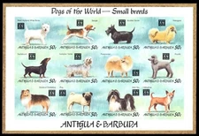 ANTIGUA 1782ii - Dogs of the World "Imperf Souvenir Sheet" (pb69549)