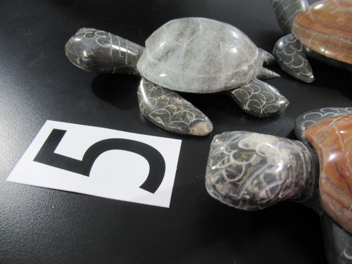 ? 5-PACK MARBLE-PRINT TORTOISE SHELLS Tortoise Shell Print - Etsy main image 3