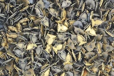 50 Lapel Pins - Defense Logistics Agency Civilian Service Award - Dealer Lot