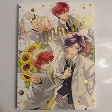 Meguru Hinohara Illustration Collection Book DARLING! Japanese Art Book 