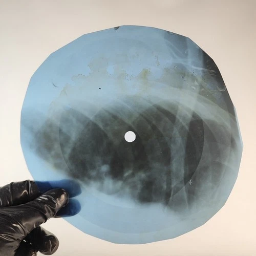 LED ZEPPELIN RAMBLE ON X-Ray USSR Record Roentgen Bone Ribs Music Vinyl