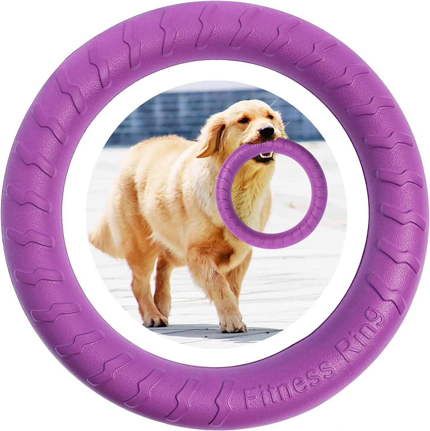 Anello Fitness Cane Benessere e Salute - Gioco Addestramento Morso Sicuro