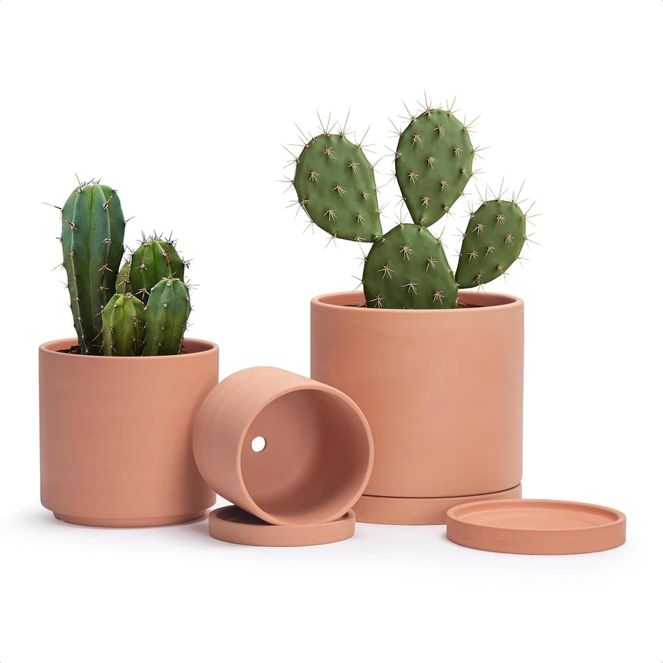 Terracotta Planter Trio with Saucers - Image 3 of 4
