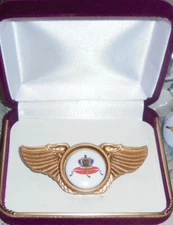 Evan Williams Whiskey Distillery Bar Concert  Biker Vest Jacket Pin Badge Wing