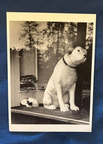 Nipper Vintage Postcard - 1989, photo by Alfred Gescheidt - Picture 4 of 4