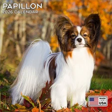 Papillon Calendar 2026 - Dog Breed Wall Calendar - Made in the USA!