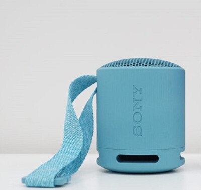 SONY SRS-XB100 Wireless Speaker Bluetooth USB Type-C Waterproof IP67 Blue