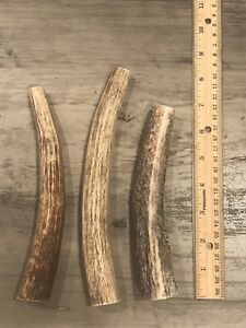 LARGE-Elk-Deer-NATURAL-SHED-Antler-Premium-Dog-Chew-1-Each