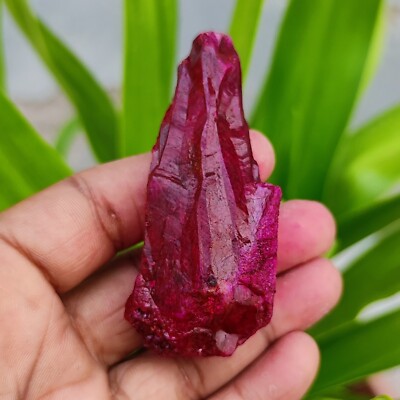 Natural 270 Ct With Certified African Uncut Red Ruby Gemstone Rough 69mm