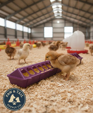 Little Giant 20" Plastic Flip-Top Poultry Ground Feeder, Purple Chickens Birds