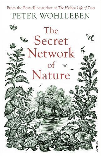 Secret Network of Nature Peter Wohlleben Paperback New