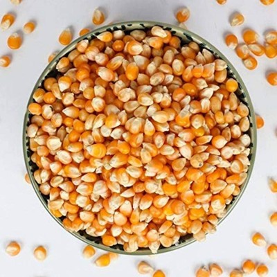 Eva Impex Popcorn Kernels - Indian Dried Corn for Popping