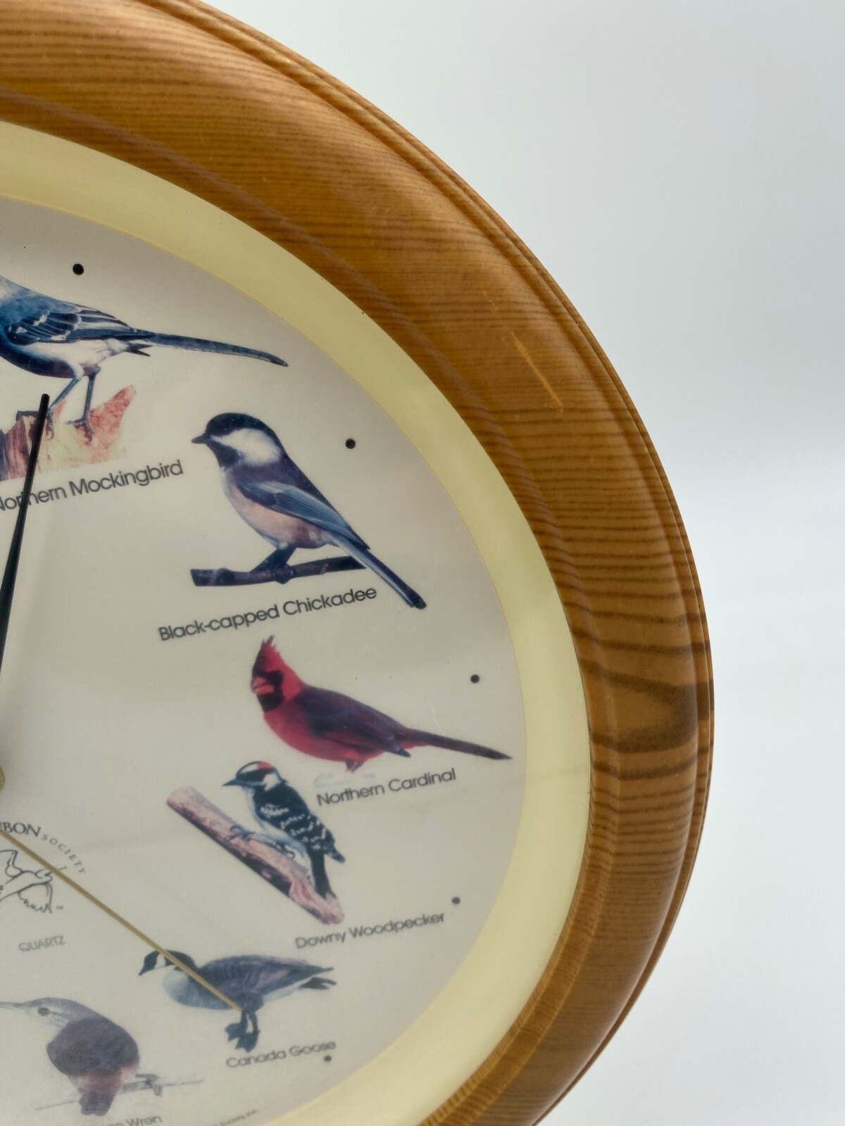 National Audubon Society Singing Bird Wall Clock Faux Wood Frame 13” eBay