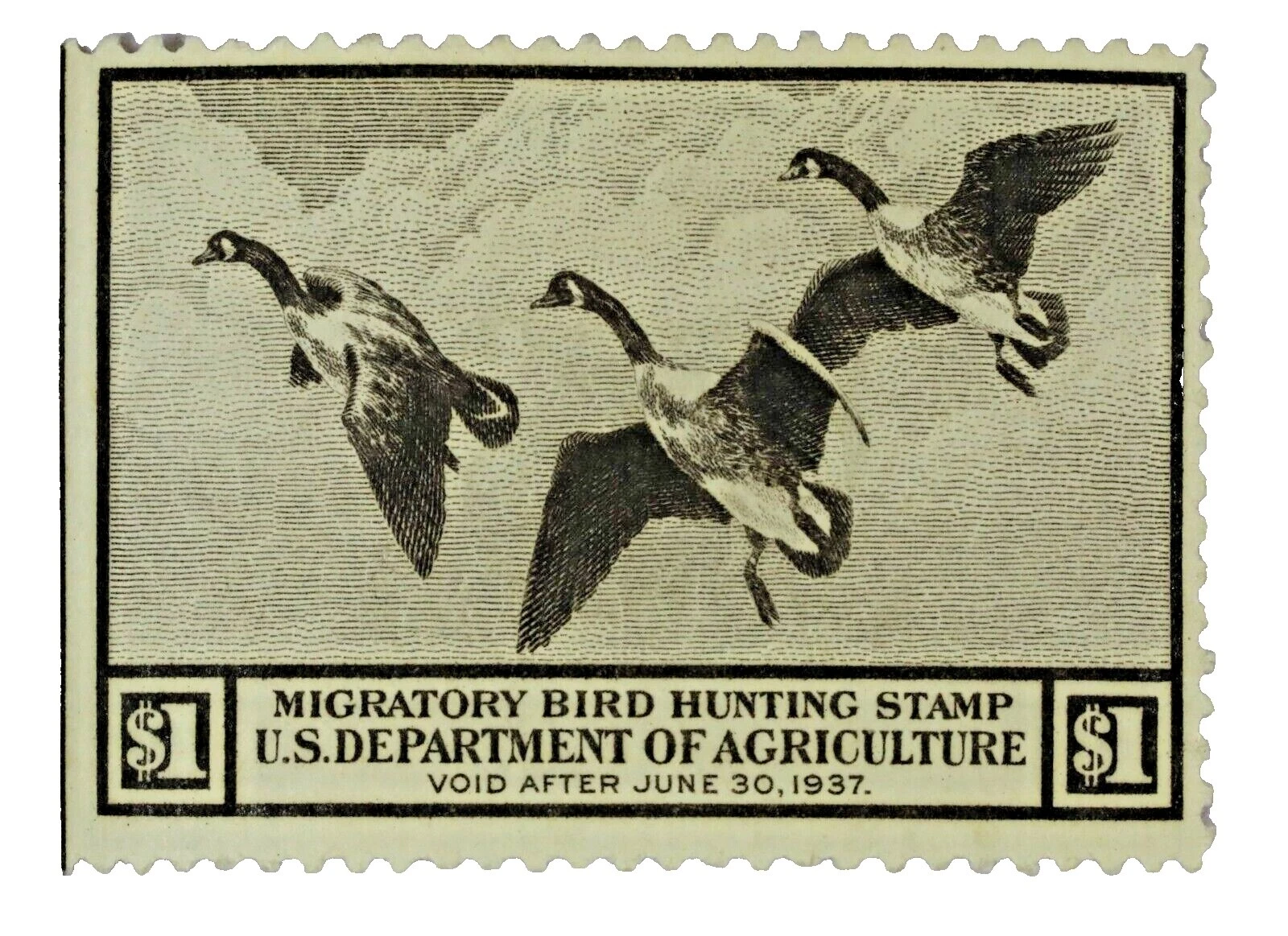 Mint sin engomado/MNG Aves sellos de Estados Unidos