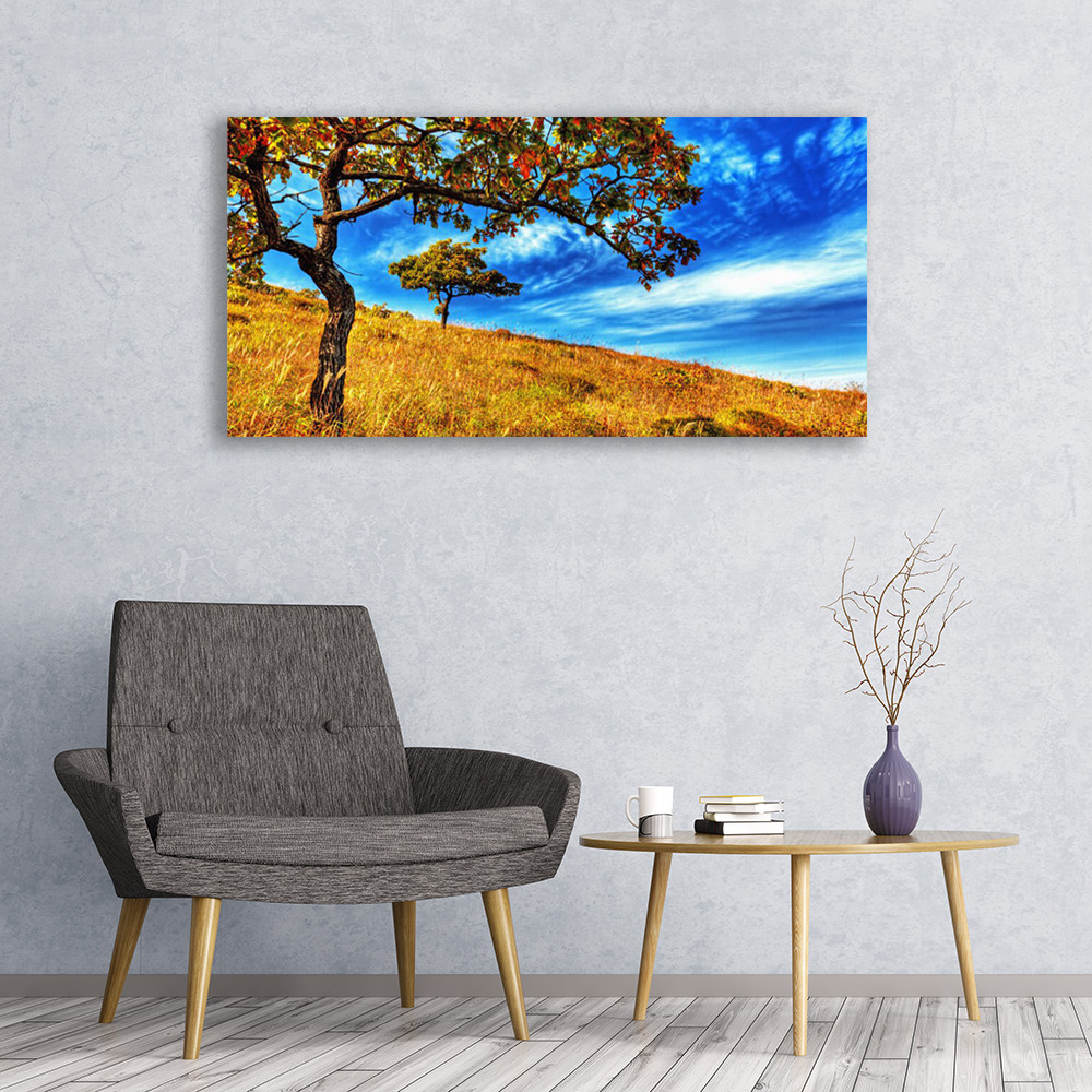 Tableau image impression 120x60 nature arbres prairie décoration murale salon