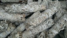 box of 100 white sage smudge sticks 9"