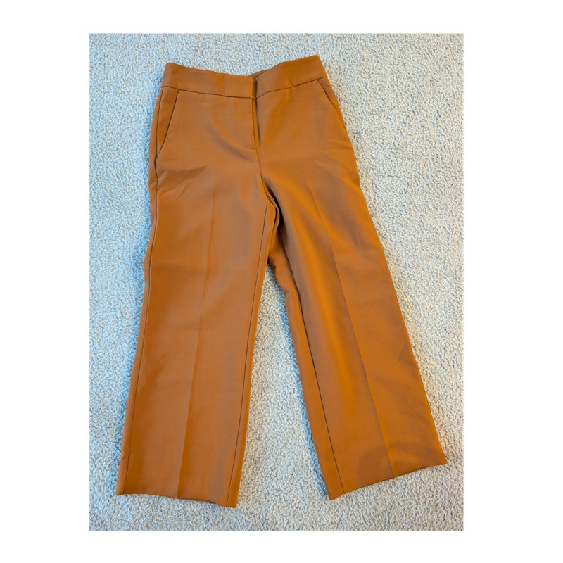 Ann Taylor Factory Brown Wide-Leg Flat Front Dress Pants