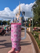 NEW🎄Disney Parks 2025 Princess Pink Ribbon Bow Castle Tumbler Cup Tumbler