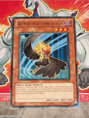 Yu Gi Oh Karte Black Wing - Kalut Schatten des Mondes DL11-FR013 BLAU