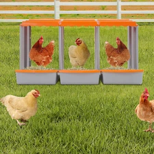 3-Compartment Modern Chicken Nesting Box Chicken Laying Box with Egg Collection