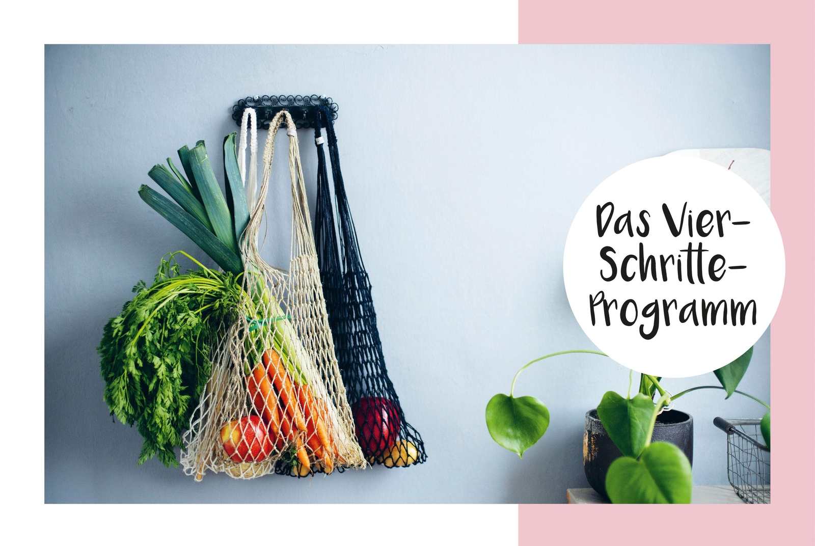 Thumbnail - Einfach Plastikfrei Leben: Schritt Für Schritt Zu Einem Nachhaltigen