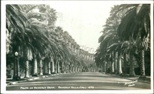 Beverly Hills, California - Palms, Beverly Drive Street scene 1942 - CA Postcard