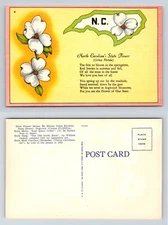 Dogwood North Carolina’s State Flower Postcard Asheville Linen Unposted
