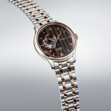 SEIKO Presage SARY262 Mechanical Automatic Watch Japanese Garden Brown 41.8mm 3