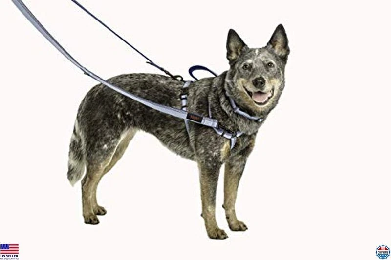 Correa HALTI Doble Extremo para Perros - Acolchada de Neopreno, Fácil de Usar, Reflectante, Foto 2 de 4