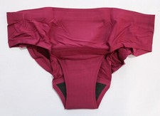 Knix Women's Super Absorbency Super Leakproof Bikini Sizes: XS - 2XL NWT