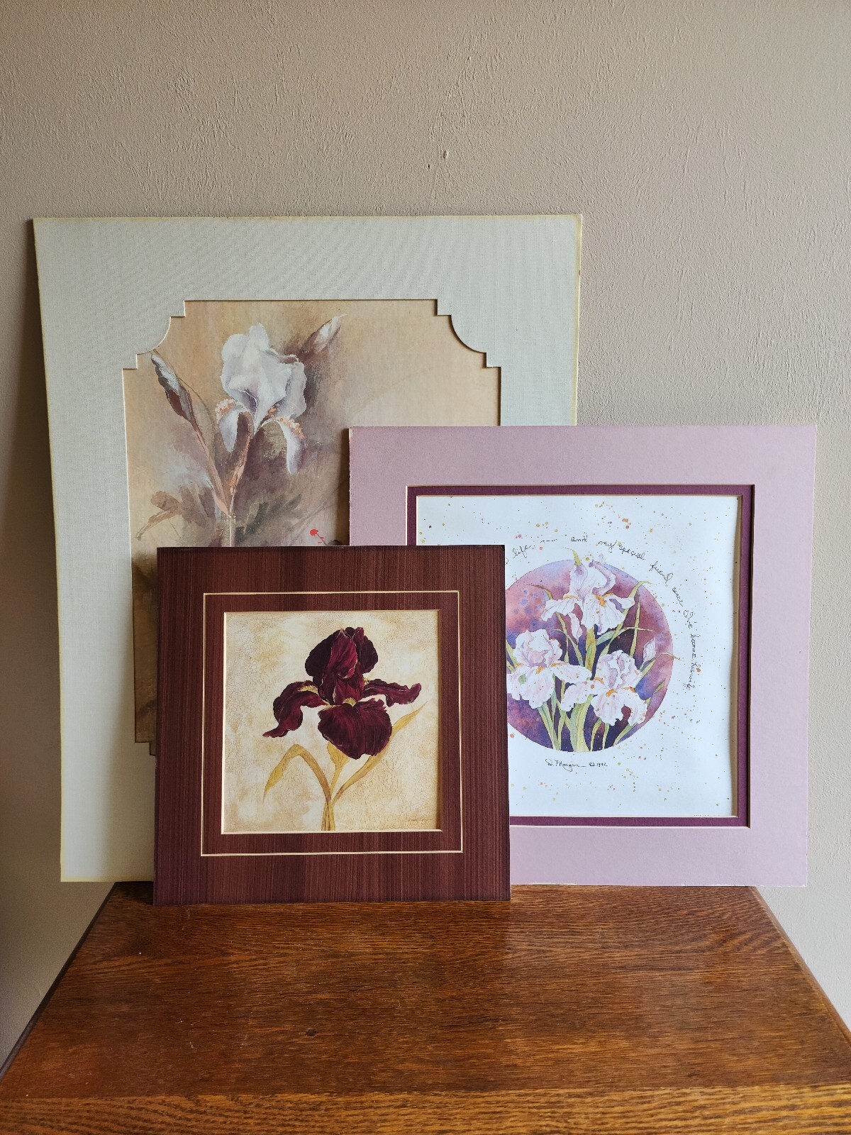 VTG Lot of 3 Iris Prints Wall Art Decor Gallery Floral Garden Shabby Chic