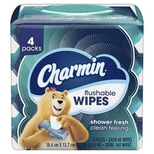 Charmin Flushable Wipes, 160 Wipes Total (4 Packs of 40), Resealable Packs