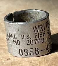 vintage authentic harvested GOOSE LEG BIRD BAND  Waterfowl 0858-48988