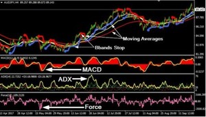 Forex trading hedge fund