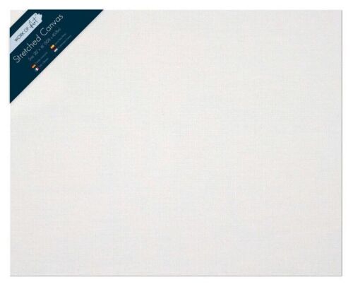 Blank Artist Canvas Art Board Plain Painting Stretched Framed White Large Small - Picture 10 of 11