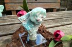 Bild 8 von 9