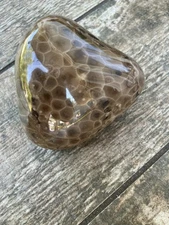 9.6oz Beautiful Full Polished Petoskey Stone Fossil Lake Michigan Coral Dark Eye