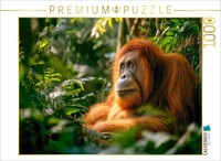 Calvendo Puzzle What A Touching Sight | 1000 Pieces, Finished Size 25.2 × 18.9 I
